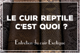 C'est quoi le cuir exotique et comment l'entretenir